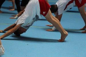 IMG 0782